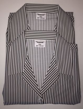 Picture of Caistor Grammar Pin Stripe Blouse