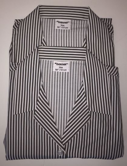 Picture of Caistor Grammar Pin Stripe Blouse