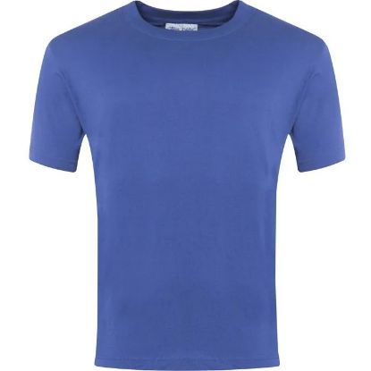 Picture of St Augustine Royal P.E T-Shirt