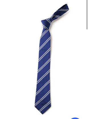 Picture of St Marys Tie