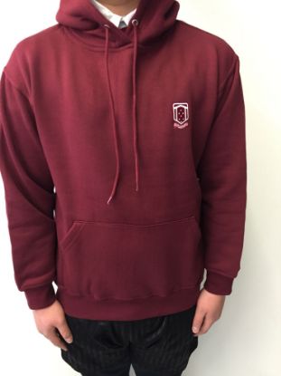 Picture of Winterton Academy Hoody