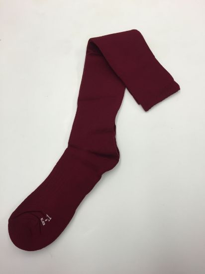 Picture of Winterton Academy P.E Socks