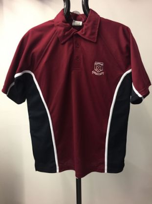 Picture of Winterton Academy Polo Shirt (P.E)