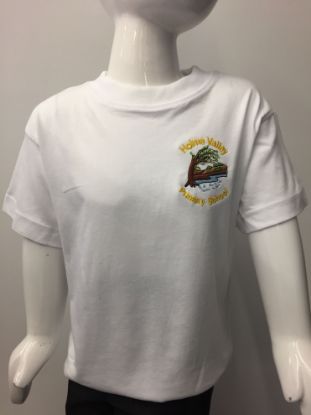 Picture of Holme Valley PE Tshirt