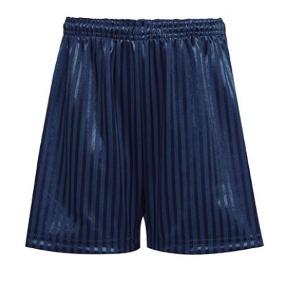 Picture of Luddington & garthorpe Navy PE Shorts