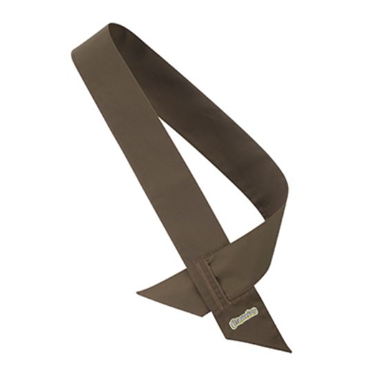 Picture of Brownies Sash