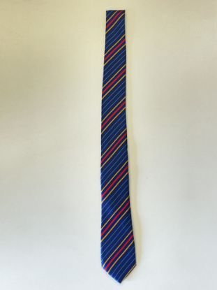Picture of St Bernadettes Tie
