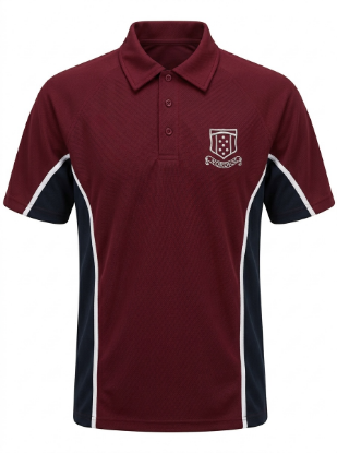 Picture of Winterton Academy Polo Shirt (P.E)